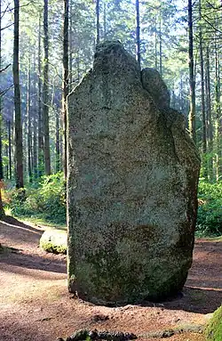 Image illustrative de l’article Menhirs de l'Étoile