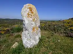 Image illustrative de l’article Menhir de Aspradantes