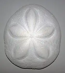 Test nettoyé