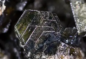 Image illustrative de l’article Biotite