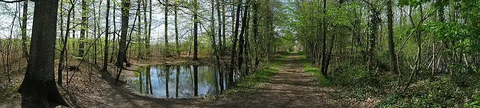 La Mare au diable, George Sand.