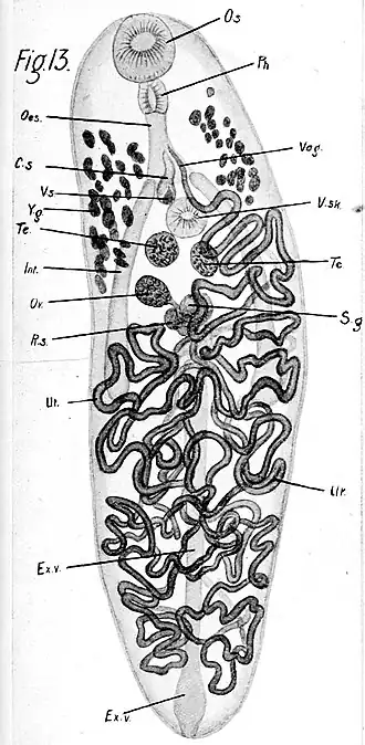 Description de cette image, également commentée ci-après