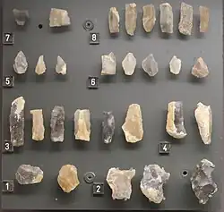 Outils de pierre taillée du Mésolithique. La Pointe du Payré, Jard-sur-Mer (Vendée). Microlithes (chaque numéro: h = 1 cm).