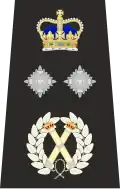 Metropolitan Police Deputy Commissioner of the Metropolis Epaulette