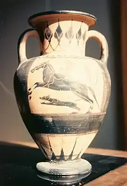 Amphore à figures noires