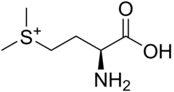 Image illustrative de l’article S-Méthylméthionine