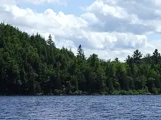 Image illustrative de l’article Lac Michigamme