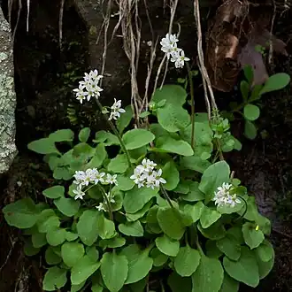 Description de cette image, également commentée ci-après