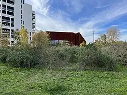 La micro forêt du parc Bühler en novembre 2023, 2 ans après la plantation