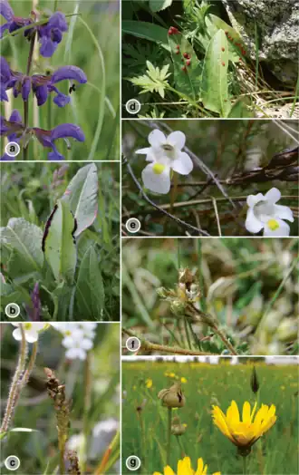 Description de cette image, également commentée ci-après