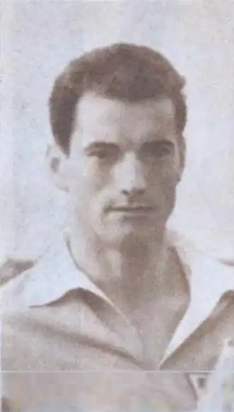 Image illustrative de l’article Mihai Adam