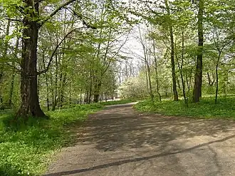 Mikulice (Basses-Carpates)