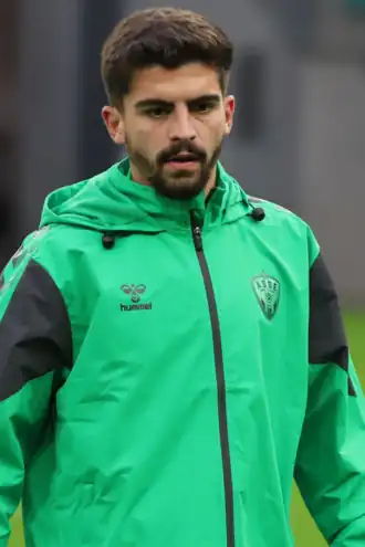 Image illustrative de l’article Igor Miladinović (football)