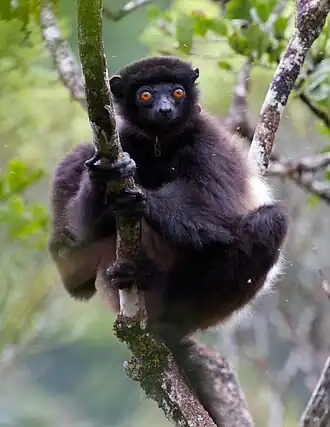 Description de cette image, également commentée ci-après