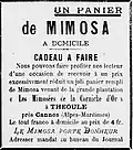 Publicité en faveur du mimosa provenant d'une plantation située à Théoule (1907).