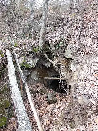 Ancienne mine, 800 mètres au sud-ouest du village. Les gîtes de fer de Vernet (et des gîtes de fluor associés) sont souvent trouvés dans des marbres des formations de l'Édiacarien (plus de 550 Ma). Toutefois, il semble probable que les minéralisations elles-mêmes sont hercyniennes (il y a environ 300 Ma).