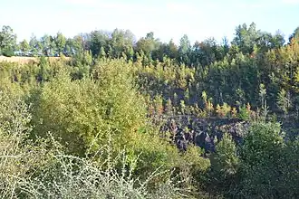 Ancienne mine de Lauriéras (Saint-Yrieix-la-Perche, Haute-Vienne).