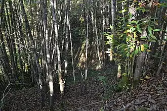 Ancienne mine de Nouzilleras (Saint-Yrieix-la-Perche, Haute-Vienne).