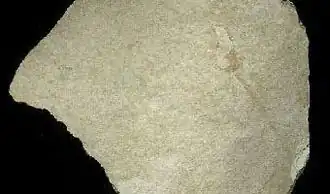 Image illustrative de l’article Terre de diatomée