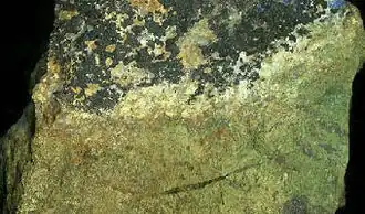 Image illustrative de l’article Olivénite