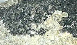 Image illustrative de l’article Ténorite