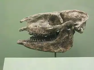 Description de cette image, également commentée ci-après