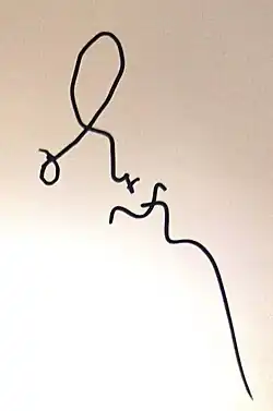 signature de Hikari Mitsushima