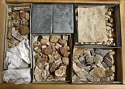 Mobilier archéologique de la grotte du Mas d'Azil