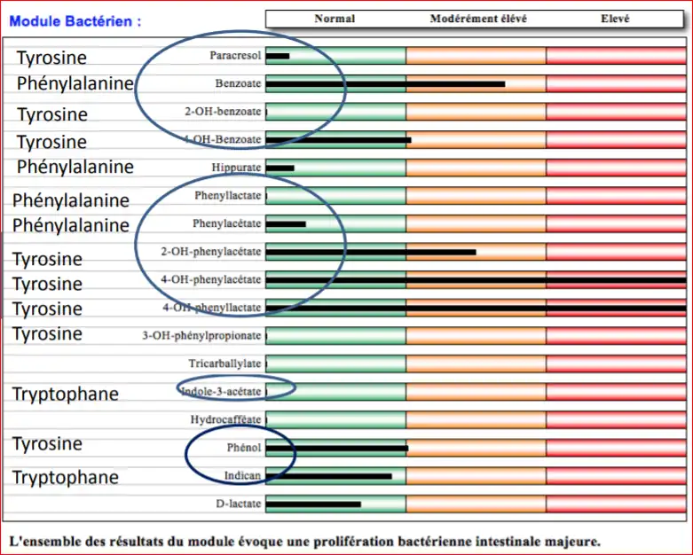 Flore de putréfaction de type Clostridium difficile