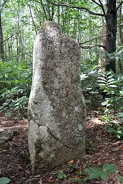 Menhir de Kergoulouët