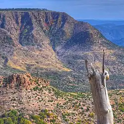 Vue du Mogollon Rim à l'Est de Pine (Arizona)