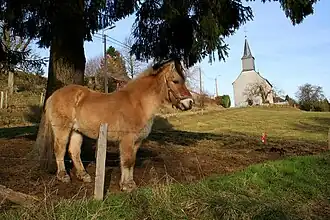 L'église Saint-Pierre (1768).