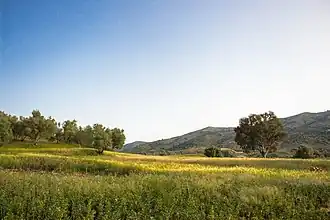 Moqrisset