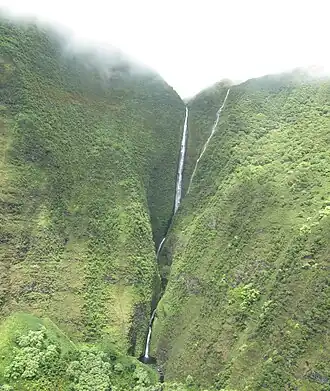 Les chutes Olo'upena, une des plus longues cascades du monde.