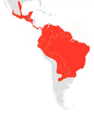 Description de l'image Molossus rufus map.png.