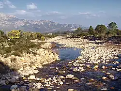 La Figarella à Moncale (Olmia).