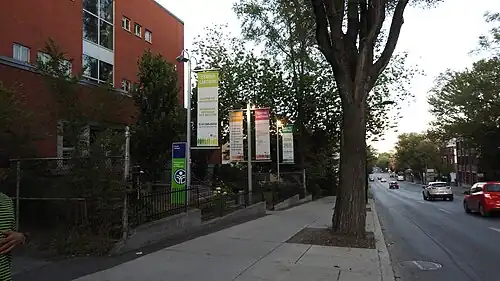 Description de l'image Monday Evening on Papineau (48587534787).jpg.