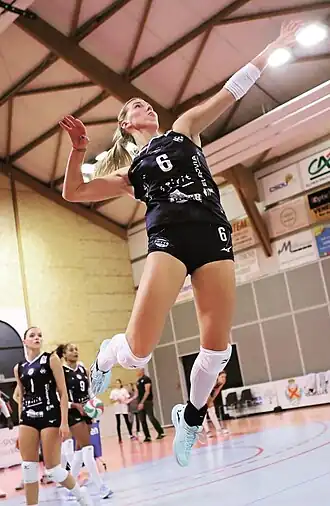 Image illustrative de l’article Monika Šalkutė