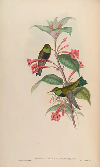 Description de cette image, également commentée ci-après