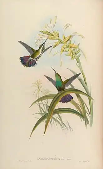 Description de cette image, également commentée ci-après