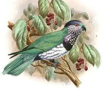 Description de cette image, également commentée ci-après