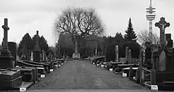 Le cimetière de Mons-en-Barœul où repose Typhaine