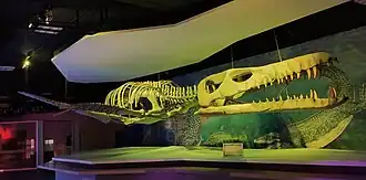 Image illustrative de l’article Monstre d'Aramberri