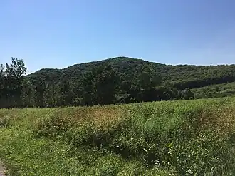Kanesatake