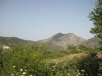 Zouggara