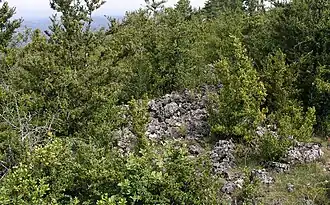 Enceinte protohistorique du Mont Buisson.