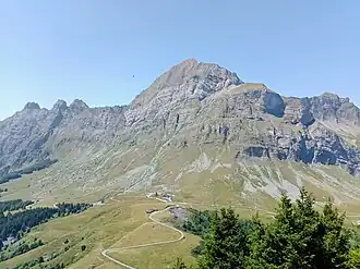 Image illustrative de l’article Col de l'Arpettaz