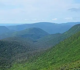 Vue du versant nord-est en été depuis le col entre le mont Collins et le mont Matawees.
