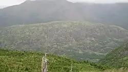 Une montagne dans la brume