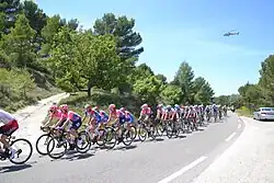Description de l'image Mont Ventoux Dénivelé Challenges 2019 - Montée de Blauvac - Peloton 5.jpg.